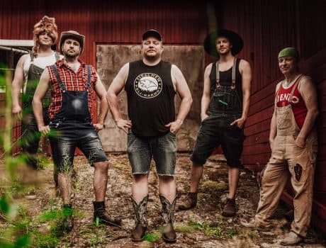 Steve ‘n’ Seagulls