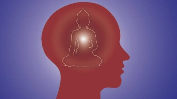 The Philosophy of HAPPINESS (!) — From Buddha to Brain Scans! We will explore...