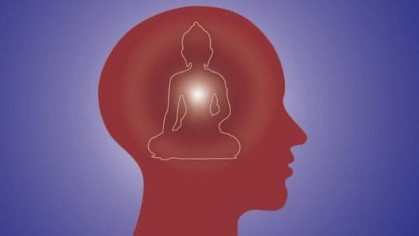 The Philosophy of HAPPINESS (!) — From Buddha to Brain Scans! We will explore...