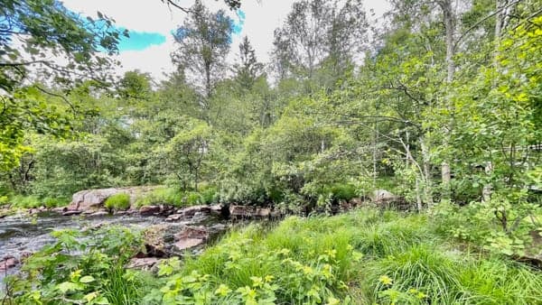 Sunday Chill hike at Liljeholmen