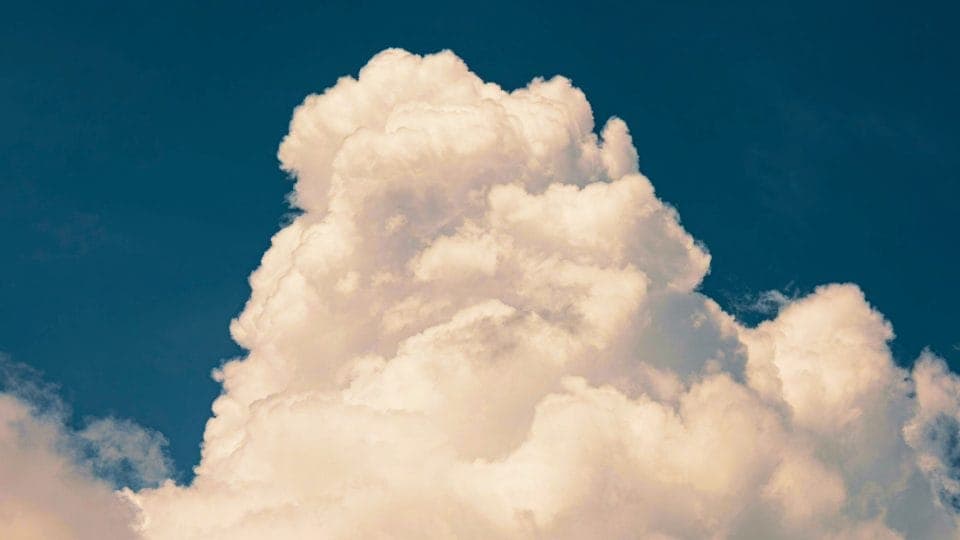 Det idéala Vilka är framtidens förebilder?