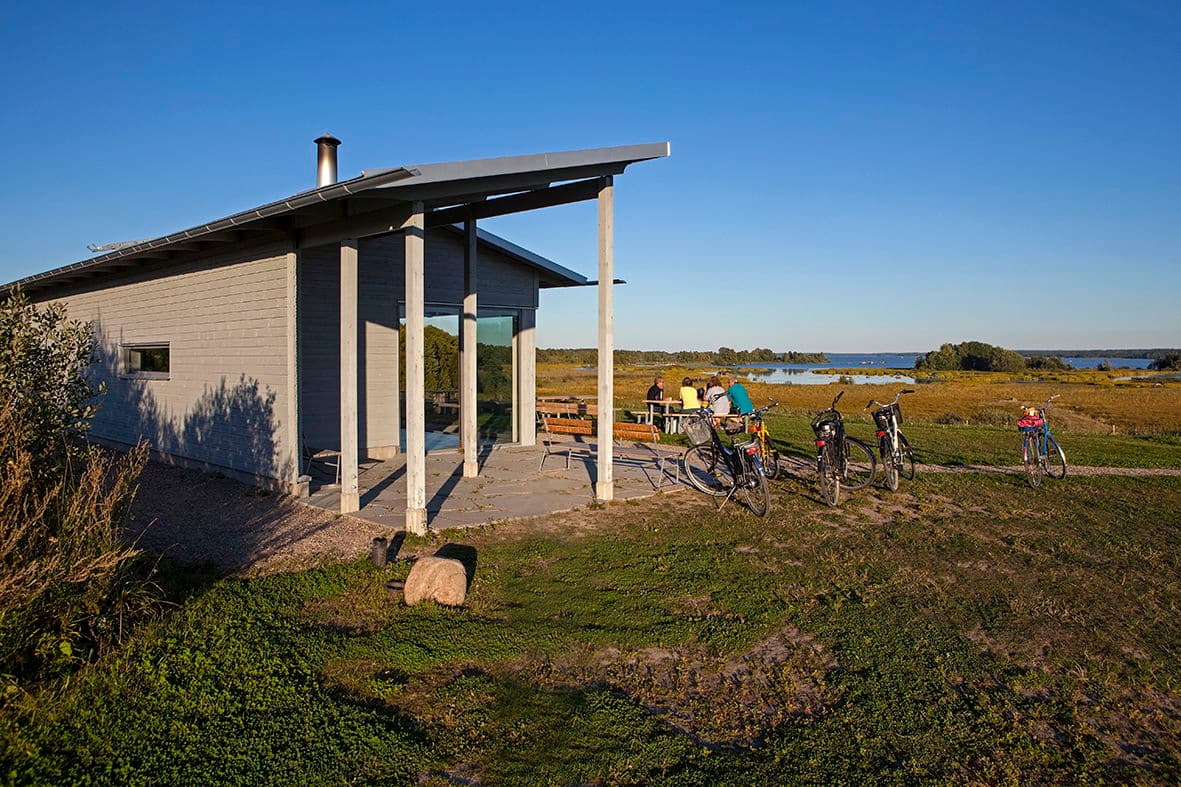 Solförmörkelse, stjärnfall & nattens flygare