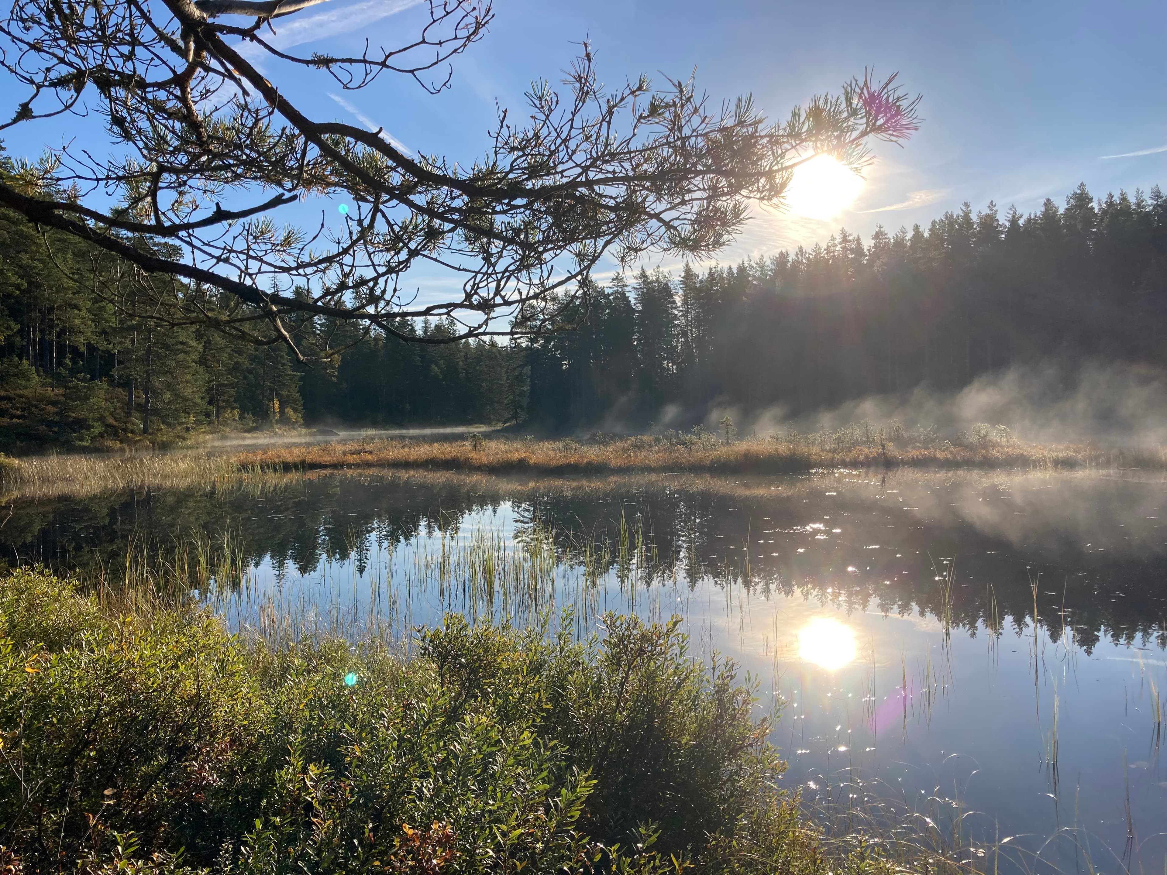 Fagning i Hyttebacken