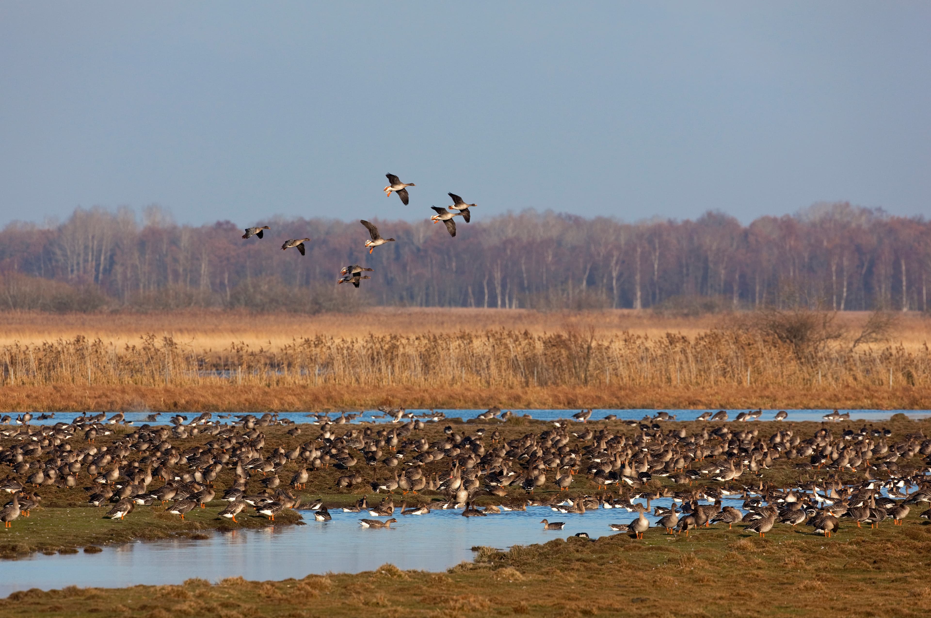 Guidning vid Tysslingen